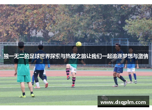 独一无二的足球世界探索与热爱之旅让我们一起追逐梦想与激情