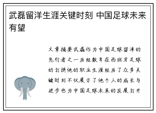 武磊留洋生涯关键时刻 中国足球未来有望 武磊留洋生涯关键时刻 中国足球未来有望