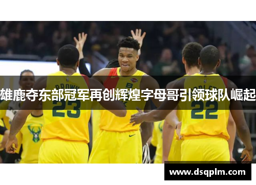 雄鹿夺东部冠军再创辉煌字母哥引领球队崛起