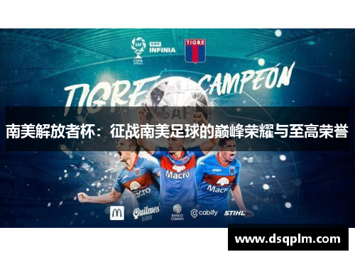 南美解放者杯：征战南美足球的巅峰荣耀与至高荣誉
