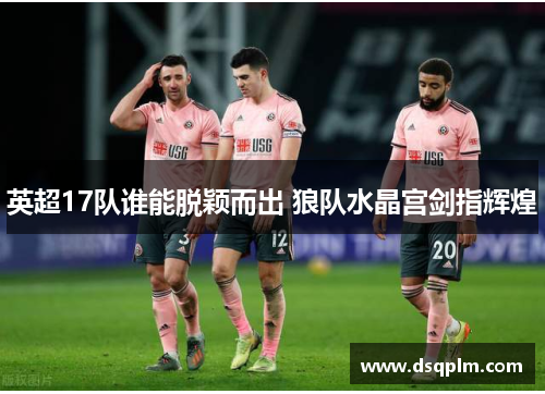 英超17队谁能脱颖而出 狼队水晶宫剑指辉煌